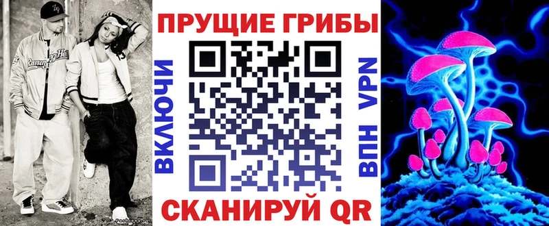 Галлюциногенные грибы Psilocybine cubensis  купить наркотик  Фокино 