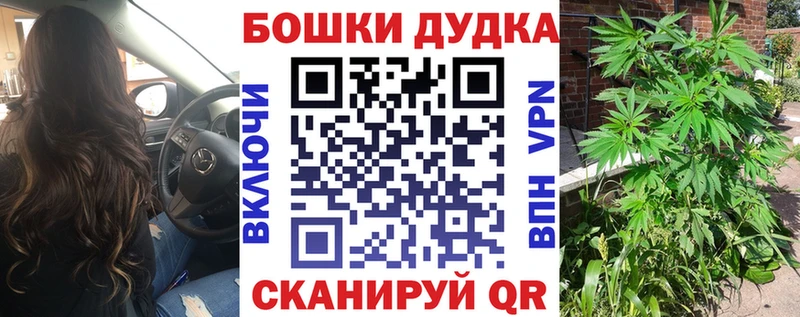Конопля планчик Фокино